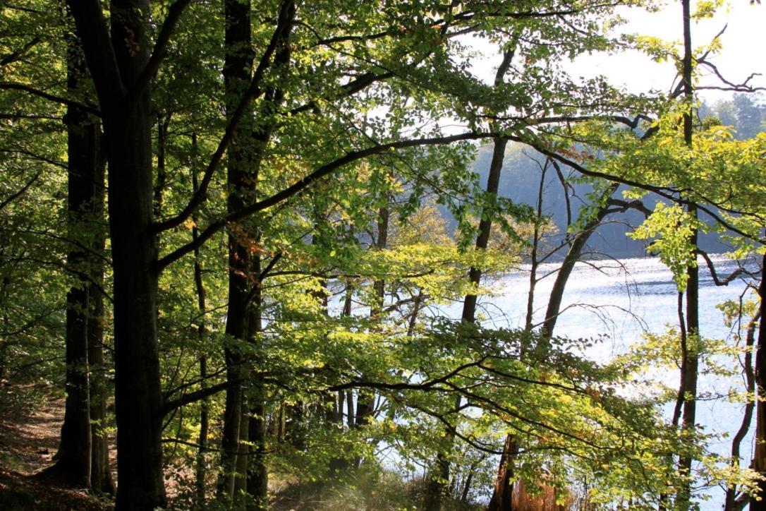 Vila Widokowka Kaszuby Mirachowo Exteriér fotografie