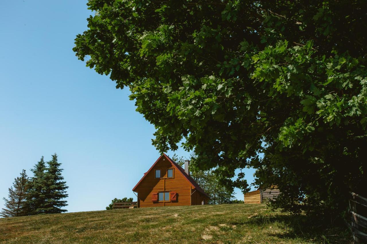 Vila Widokowka Kaszuby Mirachowo Exteriér fotografie
