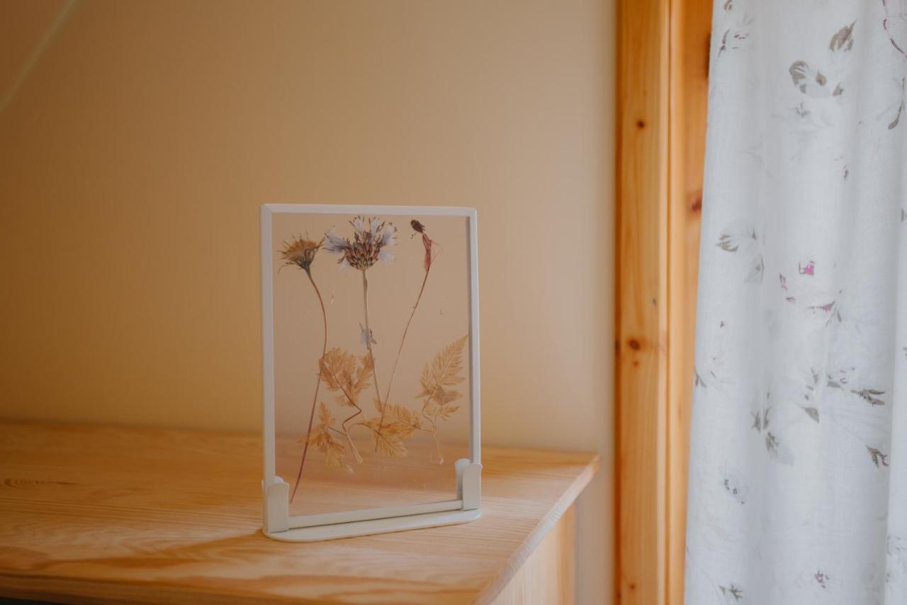 Vila Widokowka Kaszuby Mirachowo Exteriér fotografie