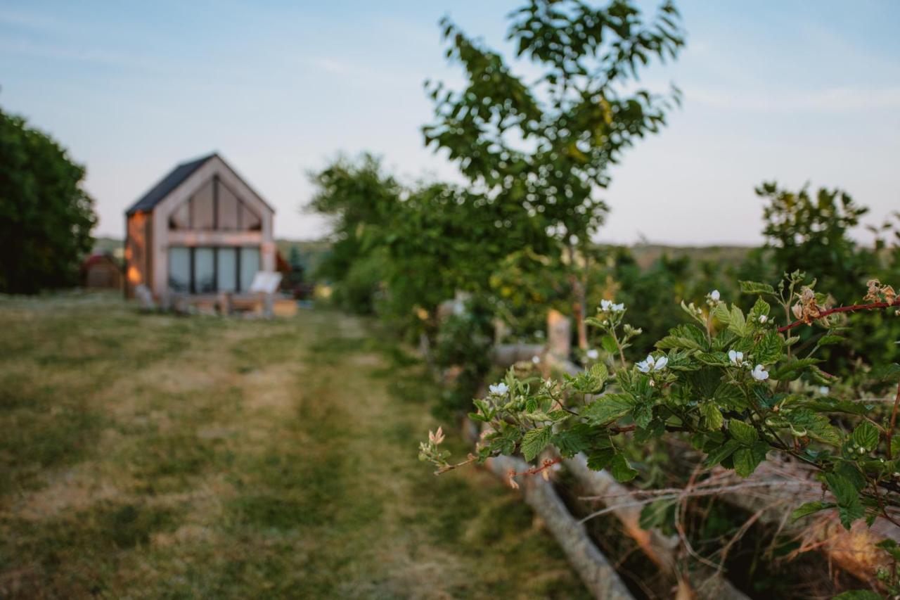 Vila Widokowka Kaszuby Mirachowo Exteriér fotografie